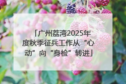 广州荔湾2025年度秋季征兵工作从“心动”向“身检”转进